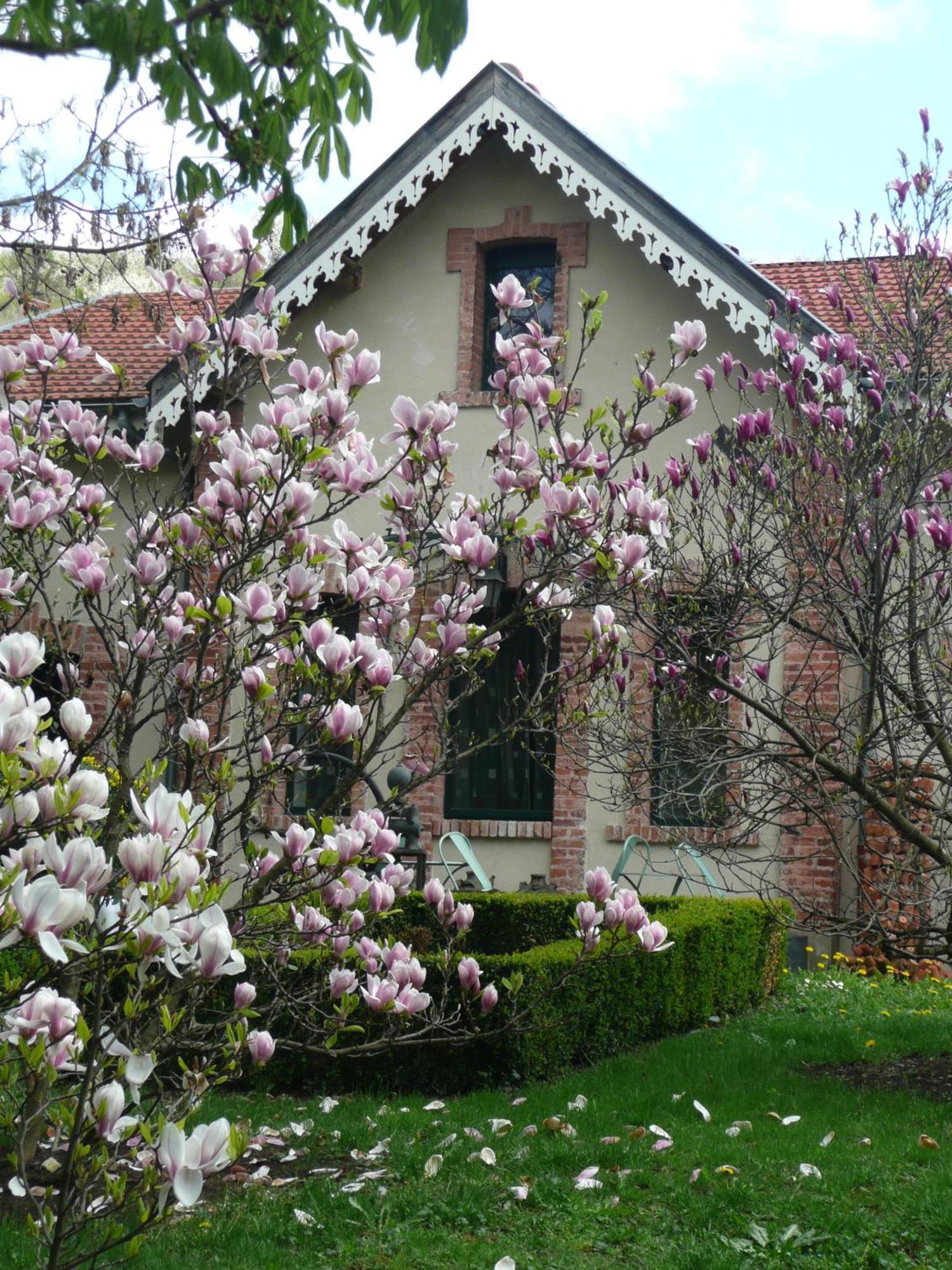 Bed and Breakfast Au Fond De La Cour Veyre-Monton Exteriér fotografie